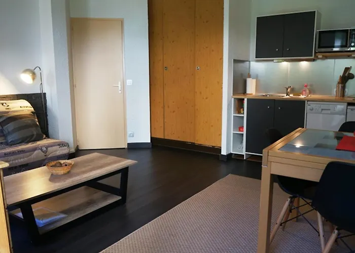 Cosy Au Centre De Avec Jardin, 2 Pièces, Bien équipé, Accepte Animaux - Fr-1-507-29 Chamonix