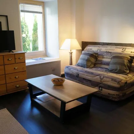 Cosy Au Centre De Avec Jardin, 2 Pieces, Bien Equipe, Accepte Animaux - Fr-1-507-29 Chamonix