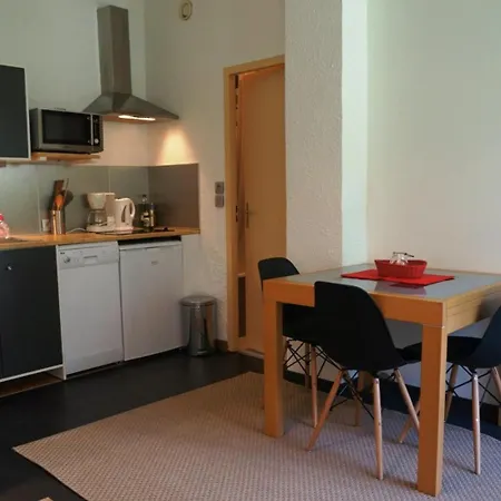 아파트 Cosy Au Centre De Avec Jardin, 2 Pieces, Bien Equipe, Accepte Animaux - Fr-1-507-29
