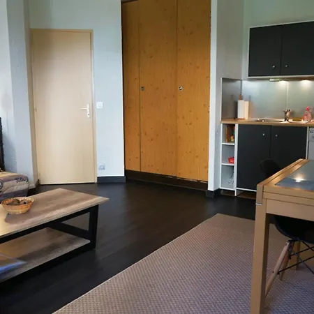 Cosy Au Centre De Avec Jardin, 2 Pieces, Bien Equipe, Accepte Animaux - Fr-1-507-29 Chamonix