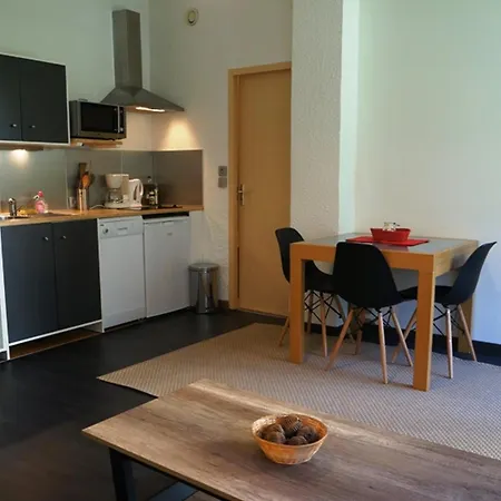 Cosy Au Centre De Avec Jardin, 2 Pieces, Bien Equipe, Accepte Animaux - Fr-1-507-29 * Chamonix