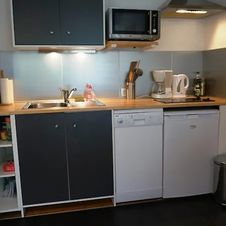 Cosy Au Centre De Avec Jardin, 2 Pieces, Bien Equipe, Accepte Animaux - Fr-1-507-29