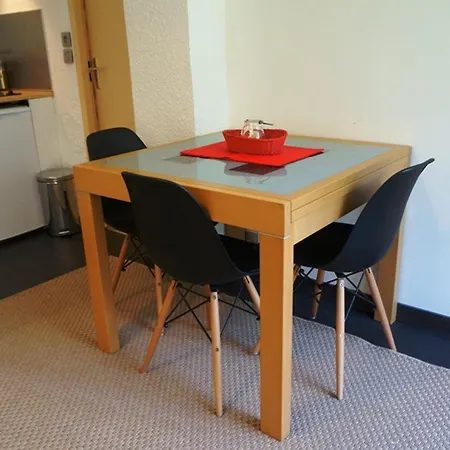 Cosy Au Centre De Avec Jardin, 2 Pieces, Bien Equipe, Accepte Animaux - Fr-1-507-29 Chamonix