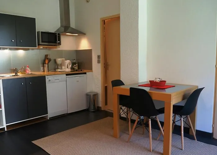 Apartamento Cosy Au Centre De Avec Jardin, 2 Pieces, Bien Equipe, Accepte Animaux - Fr-1-507-29