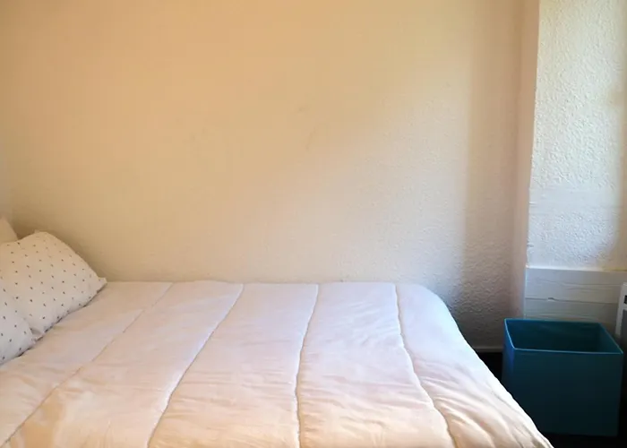 Cosy Au Centre De Avec Jardin, 2 Pieces, Bien Equipe, Accepte Animaux - Fr-1-507-29 *