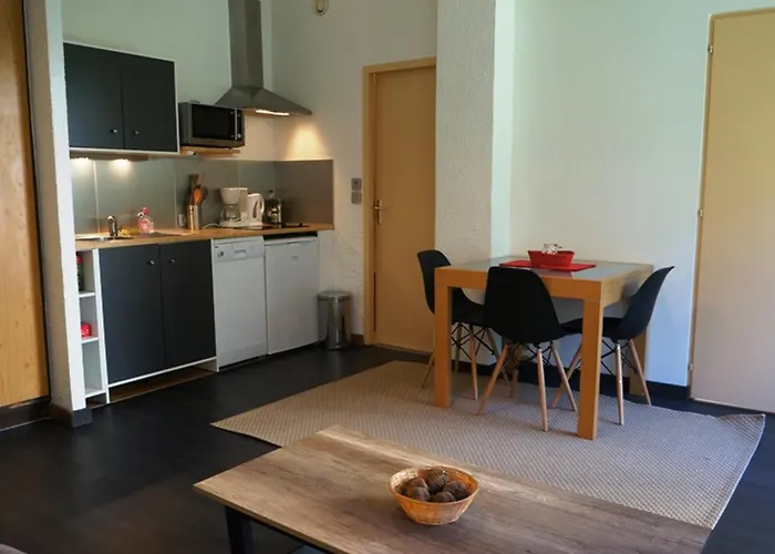 Cosy Au Centre De Avec Jardin, 2 Pieces, Bien Equipe, Accepte Animaux - Fr-1-507-29 * Chamonix