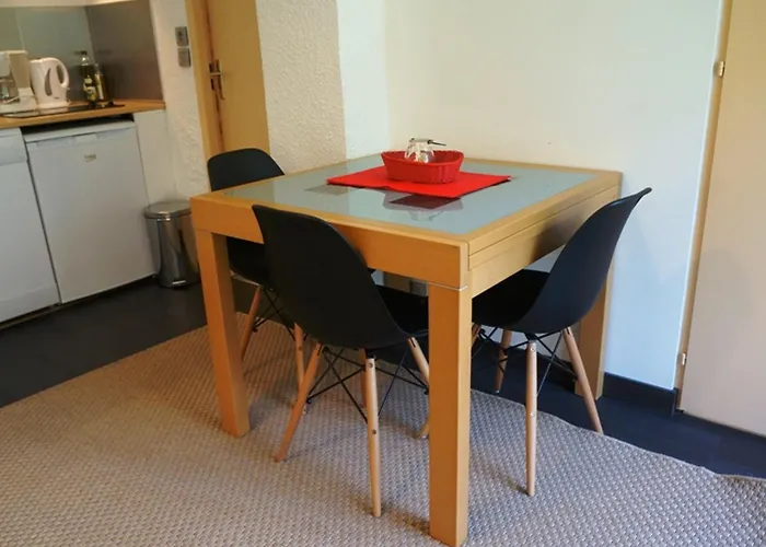 Cosy Au Centre De Avec Jardin, 2 Pieces, Bien Equipe, Accepte Animaux - Fr-1-507-29 Chamonix